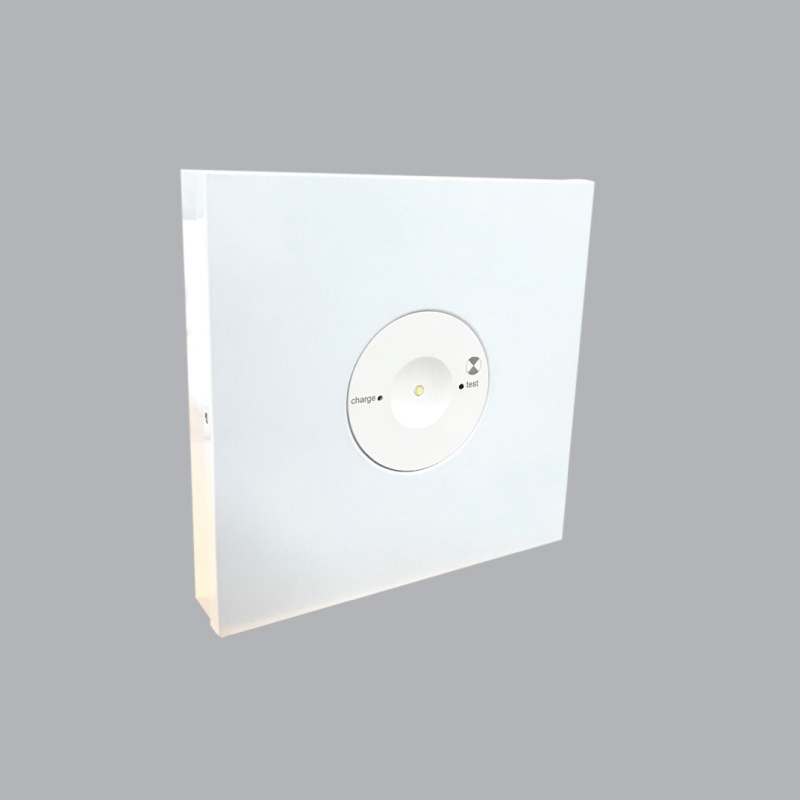 Led Downlight with emergency recessed EM-NT